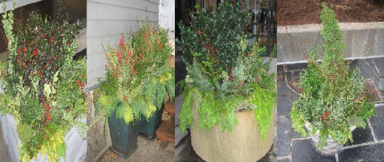 holidayplanters1.jpg