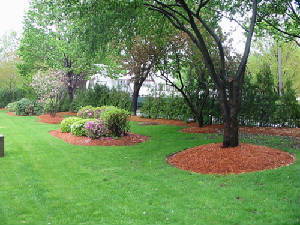 pic1.jpg